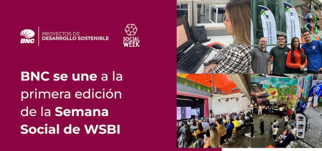 noticia