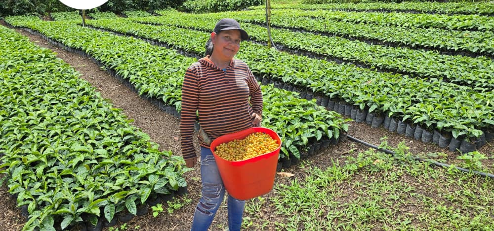 Nescafé de Nestlé promueve un café producido en Venezuela y Cultivado con Respeto