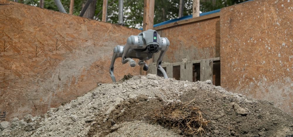 Terremoto en Colombia: ¿Los perros robots pueden ayudar a encontrar sobrevivientes entre los escombros?